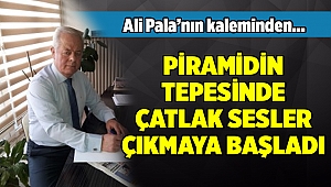 Ali Pala’nın kaleminden...