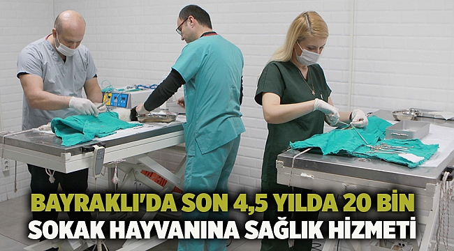 Bayraklı'da son 4,5 yılda 20 bin sokak hayvanına sağlık hizmeti