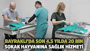 Bayraklı'da son 4,5 yılda 20 bin sokak hayvanına sağlık hizmeti