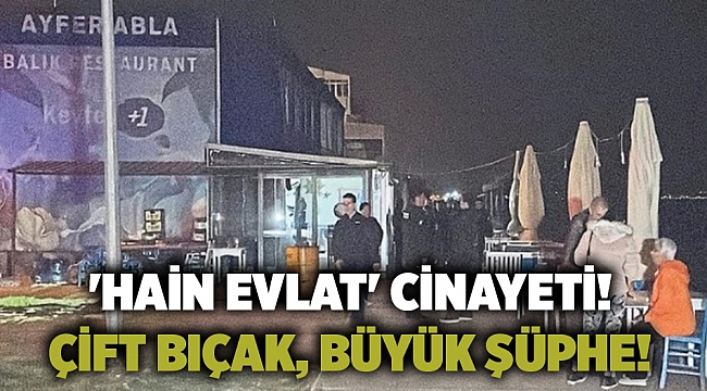 'Hain evlat' cinayeti! Çift bıçak, büyük şüphe!