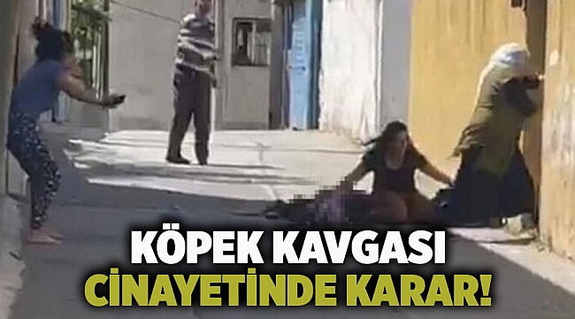 Köpek kavgası cinayetinde karar!