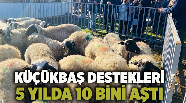 Küçükbaş destekleri 5 yılda 10 bini aştı