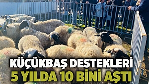 Küçükbaş destekleri 5 yılda 10 bini aştı