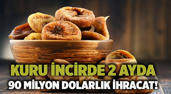 Kuru incirde 2 ayda 90 milyon dolarlık ihracat!