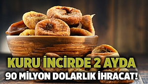 Kuru incirde 2 ayda 90 milyon dolarlık ihracat!