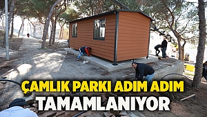 Çamlık Parkı Adım Adım Tamamlanıyor