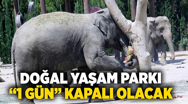 İzmir Doğal Yaşam Parkı pazartesi günleri ziyarete kapanacak