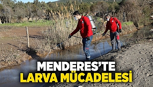 Menderes’te Larva Mücadelesi