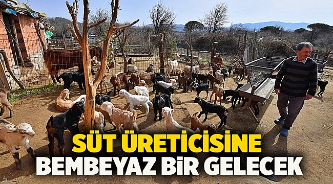 Süt üreticisine bembeyaz bir gelecek