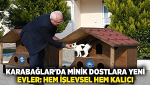 Karabağlar'da minik dostlara yeni evler