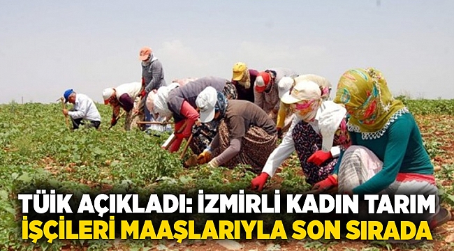 TÜİK açıkladı: İzmirli kadın tarım çalışanları maaşlarıyla son sırada