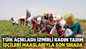 TÜİK açıkladı: İzmirli kadın tarım çalışanları maaşlarıyla son sırada