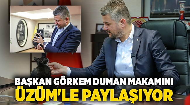 Başkan Görkem Duman makamını Üzüm’le paylaşıyor