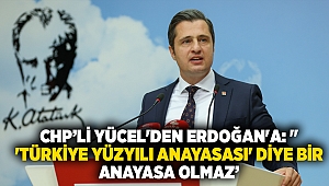 Deniz Yücel'den Erdoğan'a: 