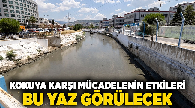 Kokuya karşı mücadelenin etkileri bu yaz görülecek