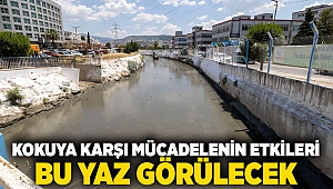 Kokuya karşı mücadelenin etkileri bu yaz görülecek