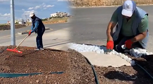 Midyat Belediyesi, peyzaj çalışmalarıyla ilçenin modern görünümünü artırıyor