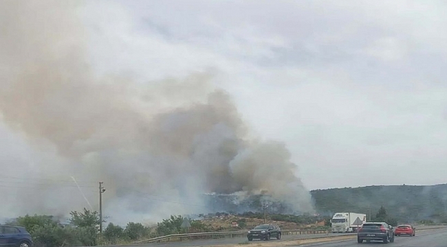 Aydın'da makilik yangınına müdahale eden uçak suya gömüldü