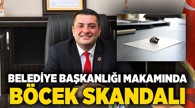 Belediye başkanlığı makamında böcek skandalı