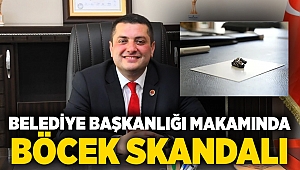 Belediye başkanlığı makamında böcek skandalı