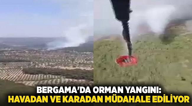 Bergama'da orman yangını: Havadan ve karadan müdahale ediliyor