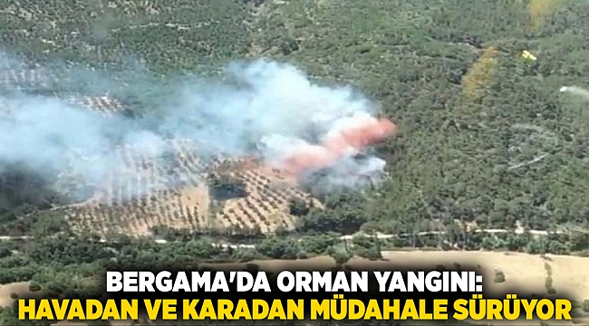 Bergama'da orman yangını: Havadan ve karadan müdahale sürüyor