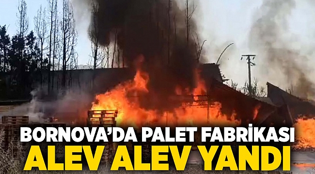 Bornova’da palet fabrikası alev alev yandı