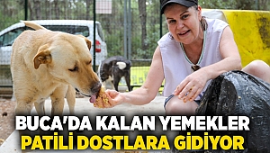 Buca'da kalan yemekler patili dostlara gidiyor