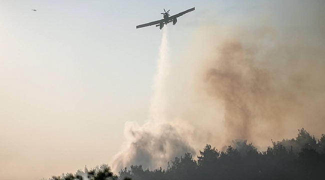 Çanakkale ve Uşak'ta orman yangınlarına müdahale sürüyor