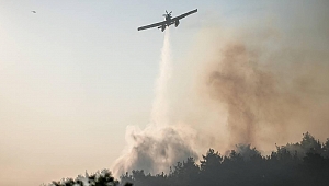 Çanakkale ve Uşak'ta orman yangınlarına müdahale sürüyor