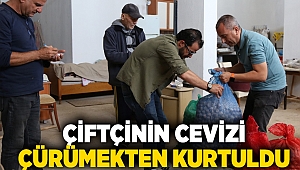  Çiftçinin cevizi çürümekten kurtuldu