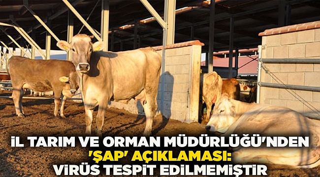 İl Tarım ve Orman Müdürlüğü'nden 'şap' konusunda virüs tespit edilmediği açıklaması yapıldı.