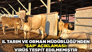 İl Tarım ve Orman Müdürlüğü'nden 'şap' konusunda virüs tespit edilmediği açıklaması yapıldı.