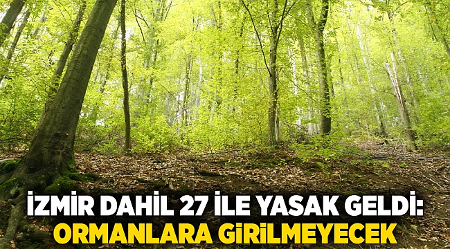 İzmir dahil 27 ile yasak geldi: Ormanlara girilmeyecek