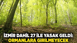 İzmir dahil 27 ile yasak geldi: Ormanlara girilmeyecek
