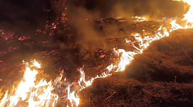 İzmir'de Çiçek Adası'nda çıkan yangın söndürüldü