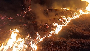 İzmir'de Çiçek Adası'nda çıkan yangın söndürüldü