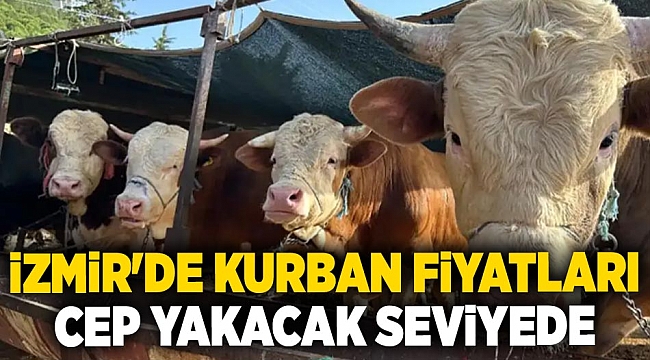 İzmir'de kurban fiyatları cep yakacak seviyede