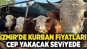 İzmir'de kurban fiyatları cep yakacak seviyede