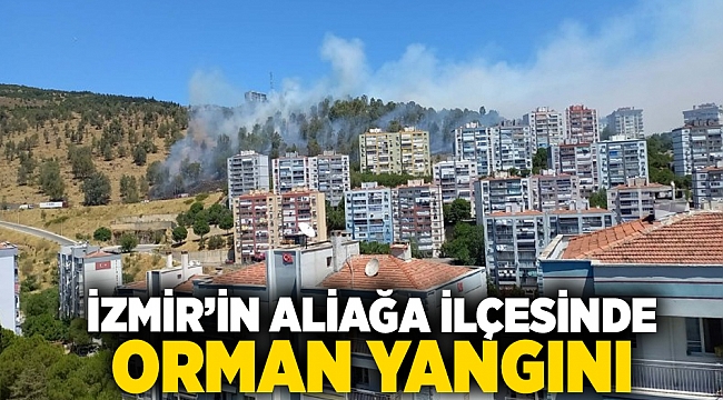 İzmir’in Aliağa ilçesinde orman yangını