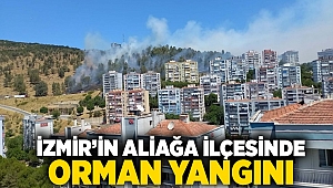 İzmir’in Aliağa ilçesinde orman yangını