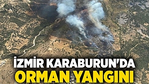 İzmir Karaburun'da orman yangını