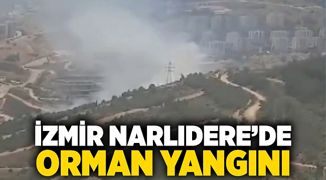 İzmir Narlıdere’de orman yangını