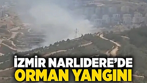 İzmir Narlıdere’de orman yangını