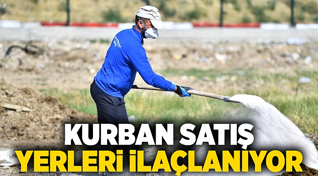 Kurban satış yerlerinde inek ve haşerelere karşı aralıksız mücadele