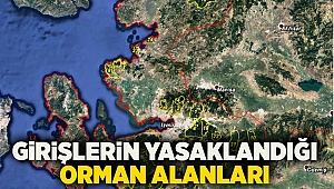 Orman Yangınlarının Önlenmesi Amacıyla Girişlerin Yasaklandığı Orman Alanları