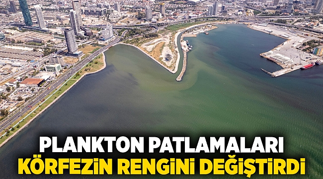 Renk değişimine plankton patlamaları neden oldu