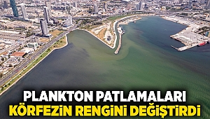 Renk değişimine plankton patlamaları neden oldu