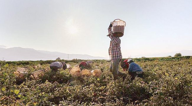 2.9 milyon çiftçiye tarım desteği sağlandı