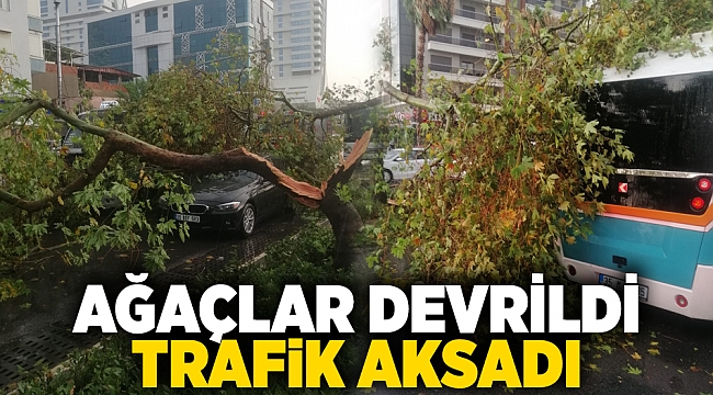 Ağaçlar devrildi, trafik felç oldu!